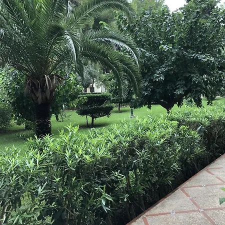 Parque 2
